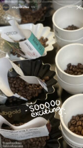 Tangkapan Layar Instagram Story elbgoldkaffee pada saat mencoba Kopi Sarongge sebelum proses lelang